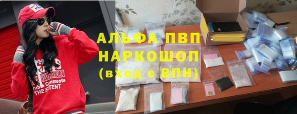 apvp Бородино