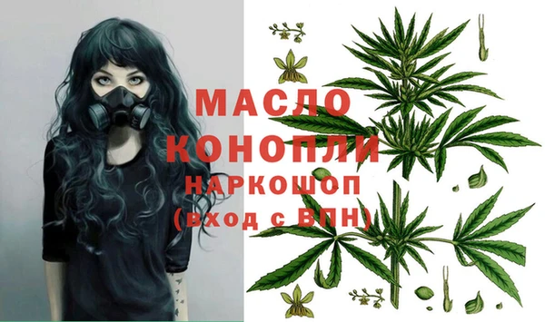 apvp Бородино