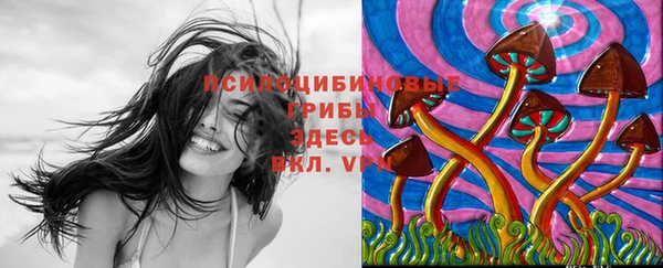 apvp Бородино