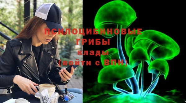 apvp Бородино